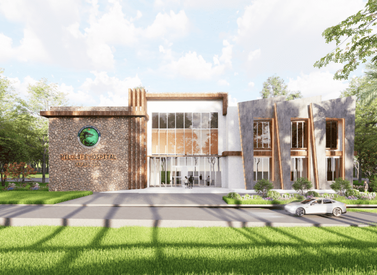 Wildlife Hospital Safari Zoo