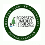 Untitled design (86)