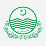 Untitled design (95)